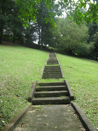 image006