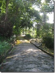 clip_image010