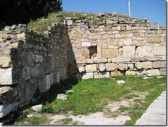 clip_image002