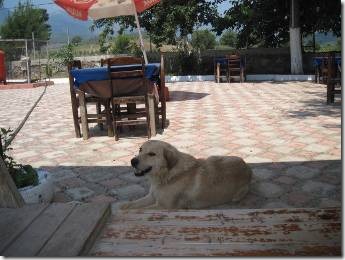 clip_image003