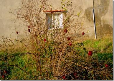 clip_image003