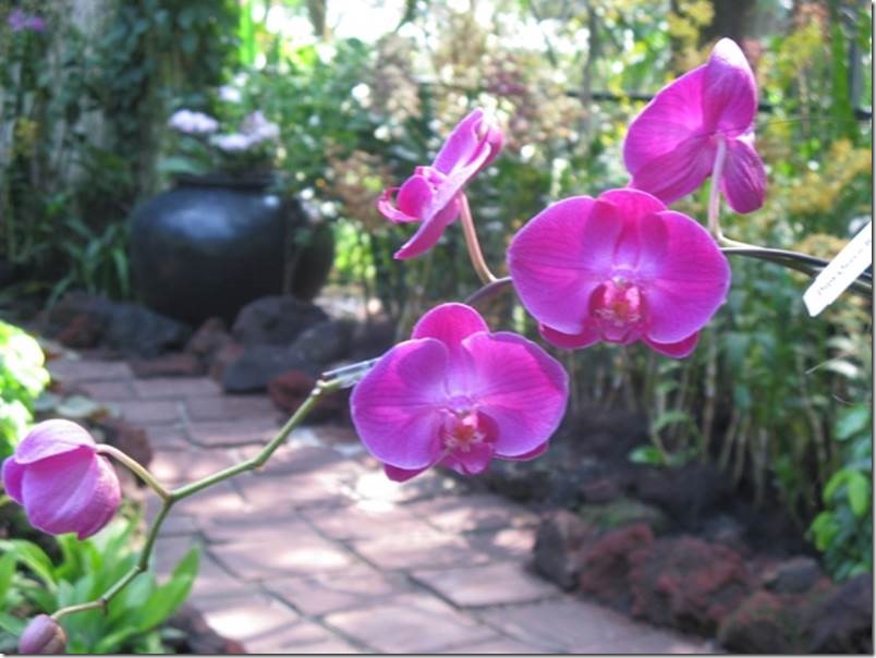 clip_image018
